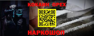 прущие грибы Ирбит