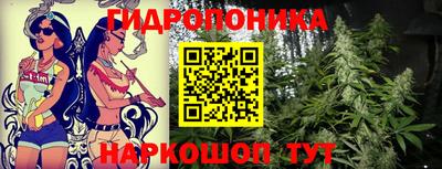 прущие грибы Ирбит