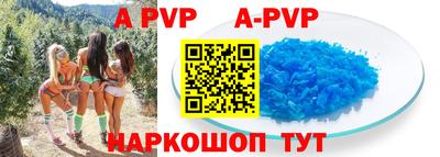 прущие грибы Ирбит