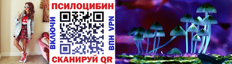Псилоцибиновые грибы GOLDEN TEACHER  blacksprut ССЫЛКА  Дагестанские Огни  даркнет сайт 