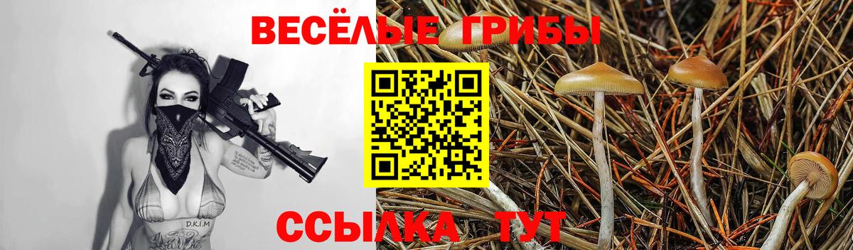 Псилоцибиновые грибы прущие грибы  Вход с VPN  Дагестанские Огни 