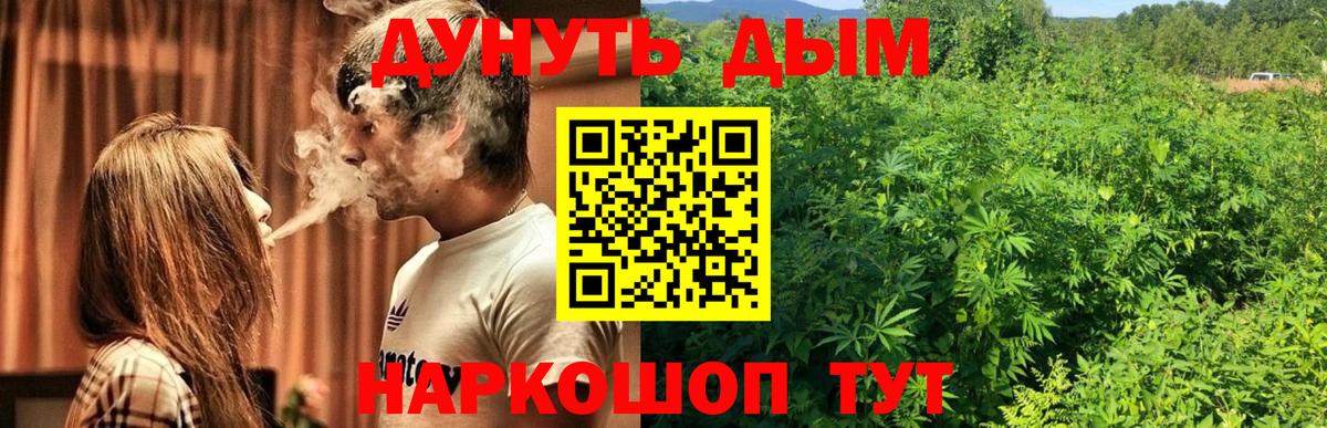 Каннабис SATIVA & INDICA  Вход с VPN  Дагестанские Огни  Шишки марихуана ГИДРОПОН  Каннабис тримм 